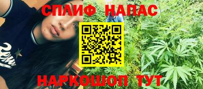 дмт Краснознаменск