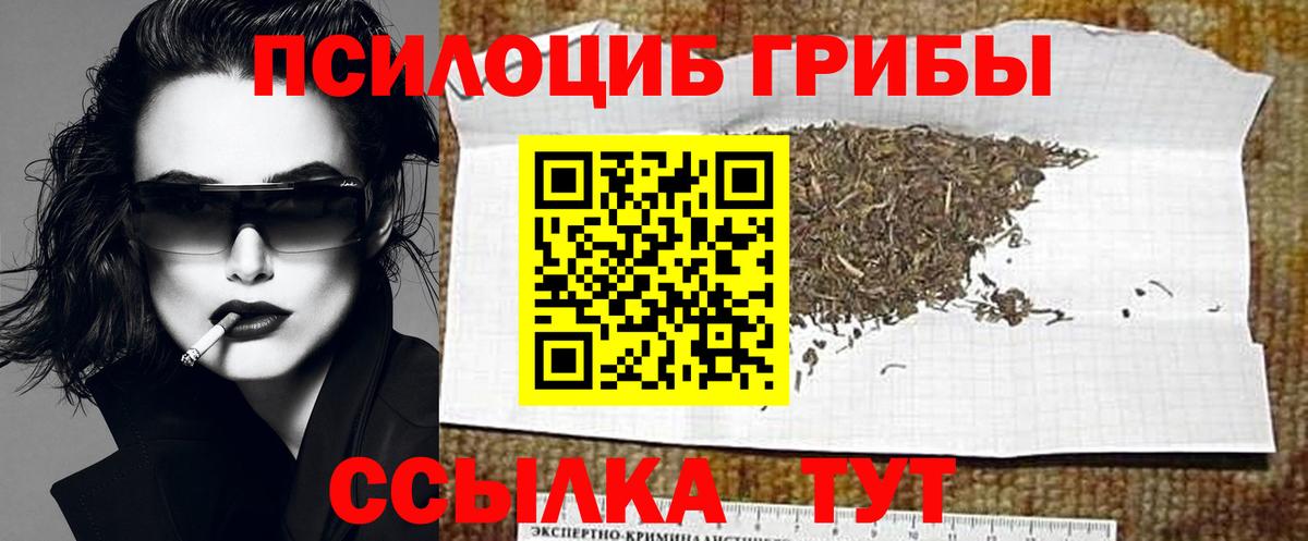 Галлюциногенные грибы Cubensis  Вход с VPN  цена   Кольчугино 