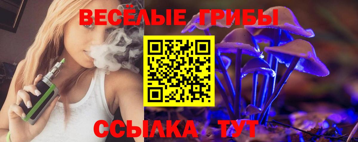 Галлюциногенные грибы MAGIC MUSHROOMS Кольчугино